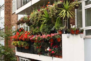 balcon_5